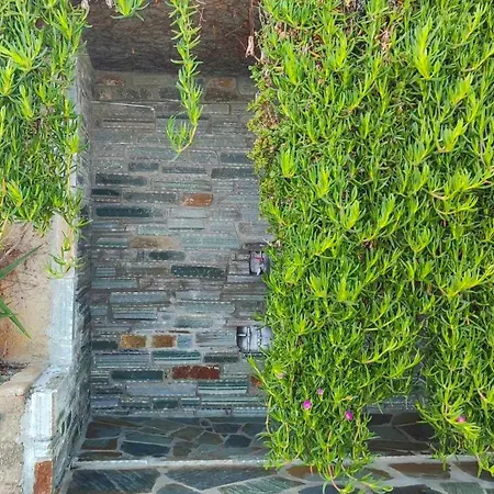 بيت للعطل Aegean Beachfront Petriaí