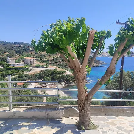 Aegean Beachfront Petriai